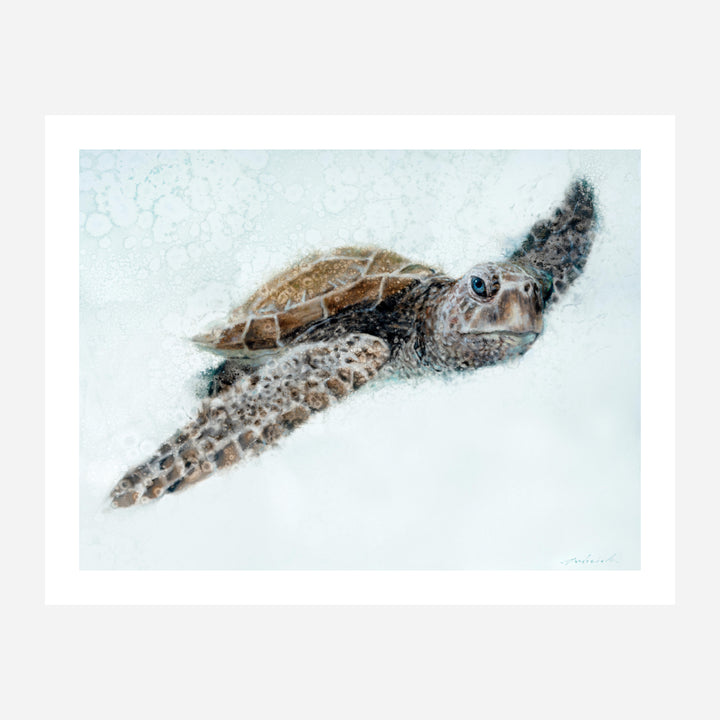 Cruisin' Stretched Canvas Art