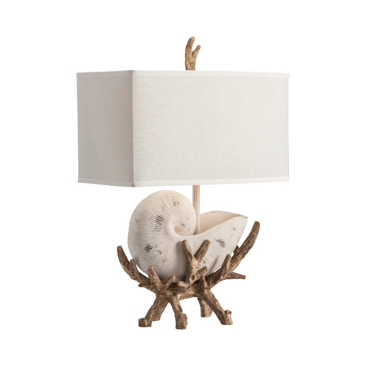 Driftwood & Shell Table Lamp