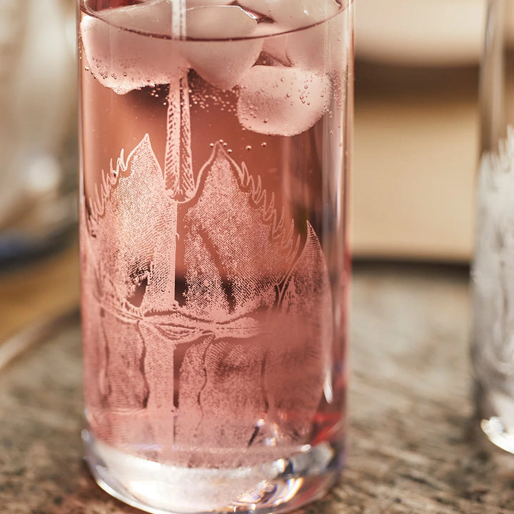 Highball Horseshoe Crab Glasses - Coastal Compass Home Decor