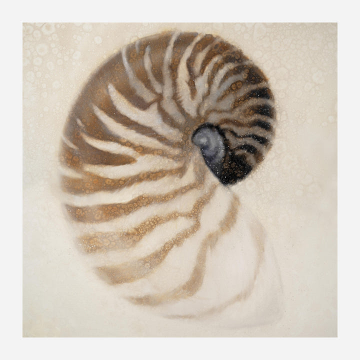 Nautilus Canvas Art - Coastal Compass Home Decor