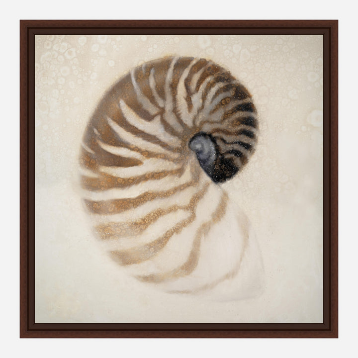 Nautilus Canvas Art Brown Frame - Coastal Compass Home Decor