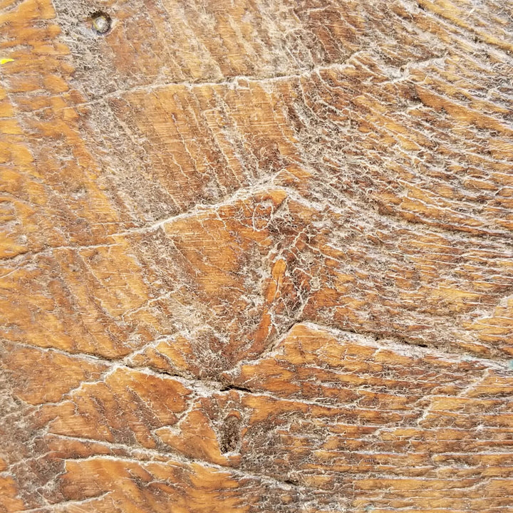 Reclaimed Wood Whale Detail | Coastal Compass Home Decor