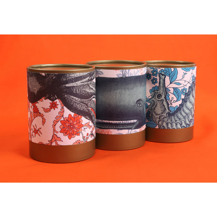 Seahorse Vineyard Soy Candle • Coastal Compass Home Decor