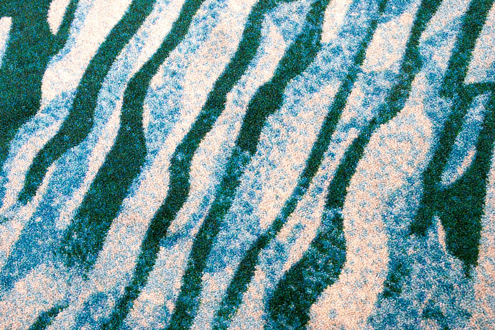 Sea Dive Rug - Coastal Compass Home Decor