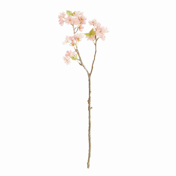 Pink Double Cherry Blossom Branches