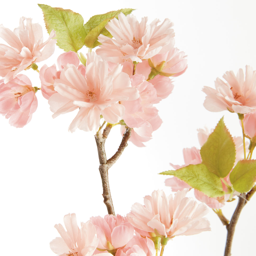 Pink Double Cherry Blossom Branches