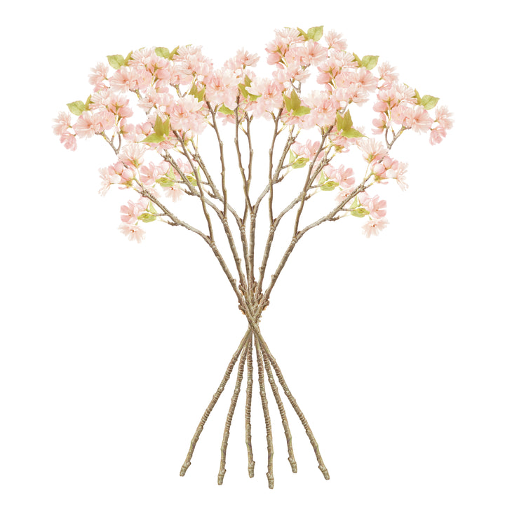 Pink Double Cherry Blossom Branches