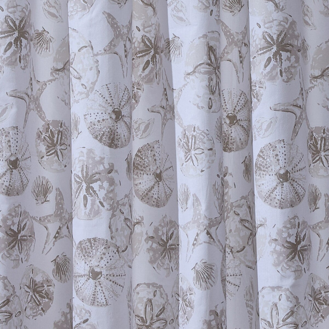 Cove Shells Shower Curtain