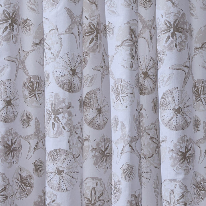 Cove Shells Shower Curtain
