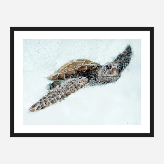 Cruisin' Framed Canvas Art - Coastal Compass Home Decor