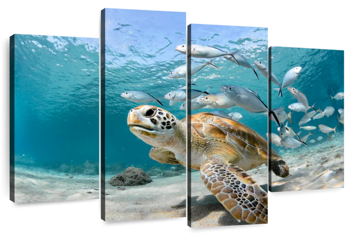 Curacao Fish And Turtle Wall Art - Turtle & Fish Under the sea - Vibrant colors - Canvas art - One Pieces canvas - Coastal Compass Home Decor