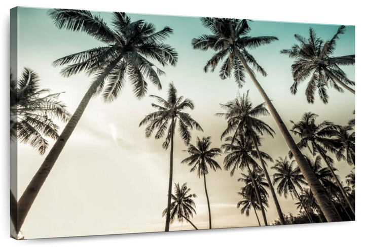 Dawning Above Palm Trees Wall Art - Single Canvas - Large - Palm Trees with Tan & Blue Sky - Coastal Compass Home Decor