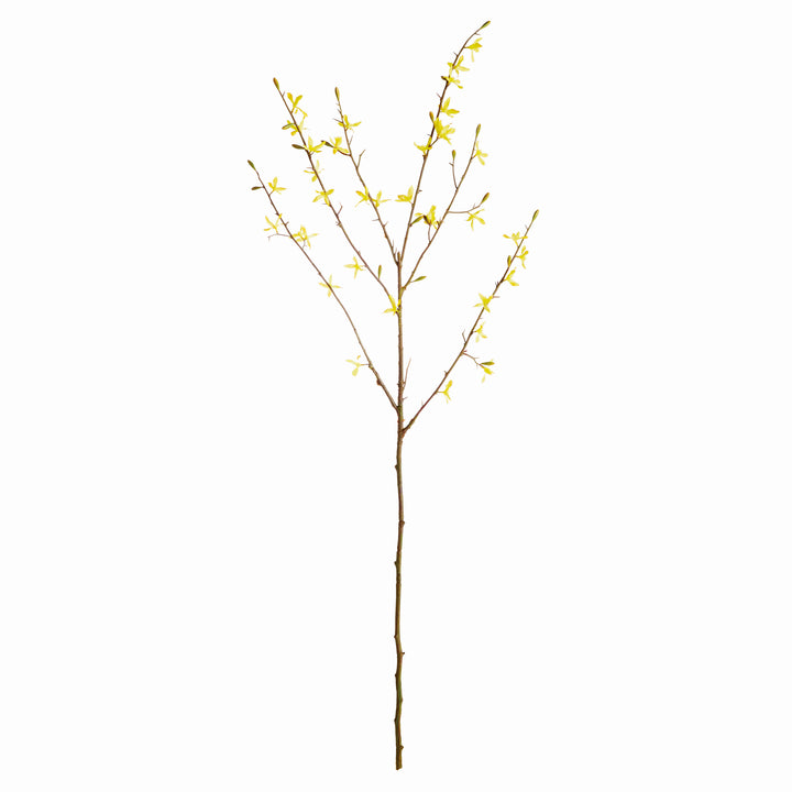 Forsythia Stems Faux Set