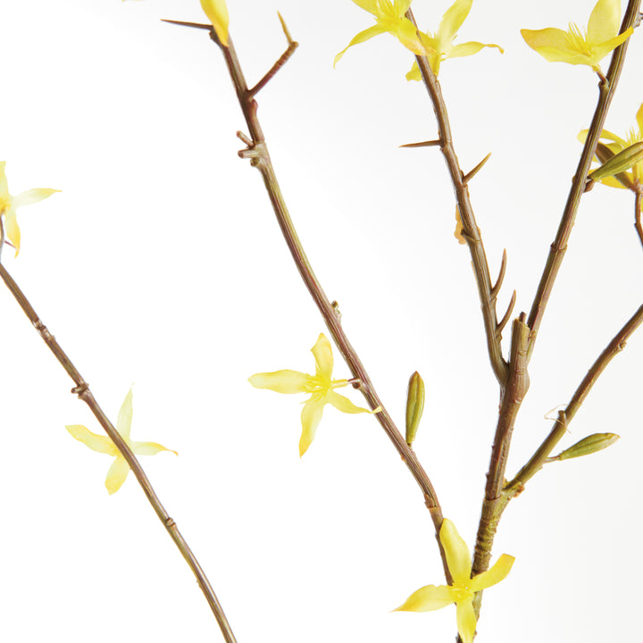 Forsythia Stems Faux Set