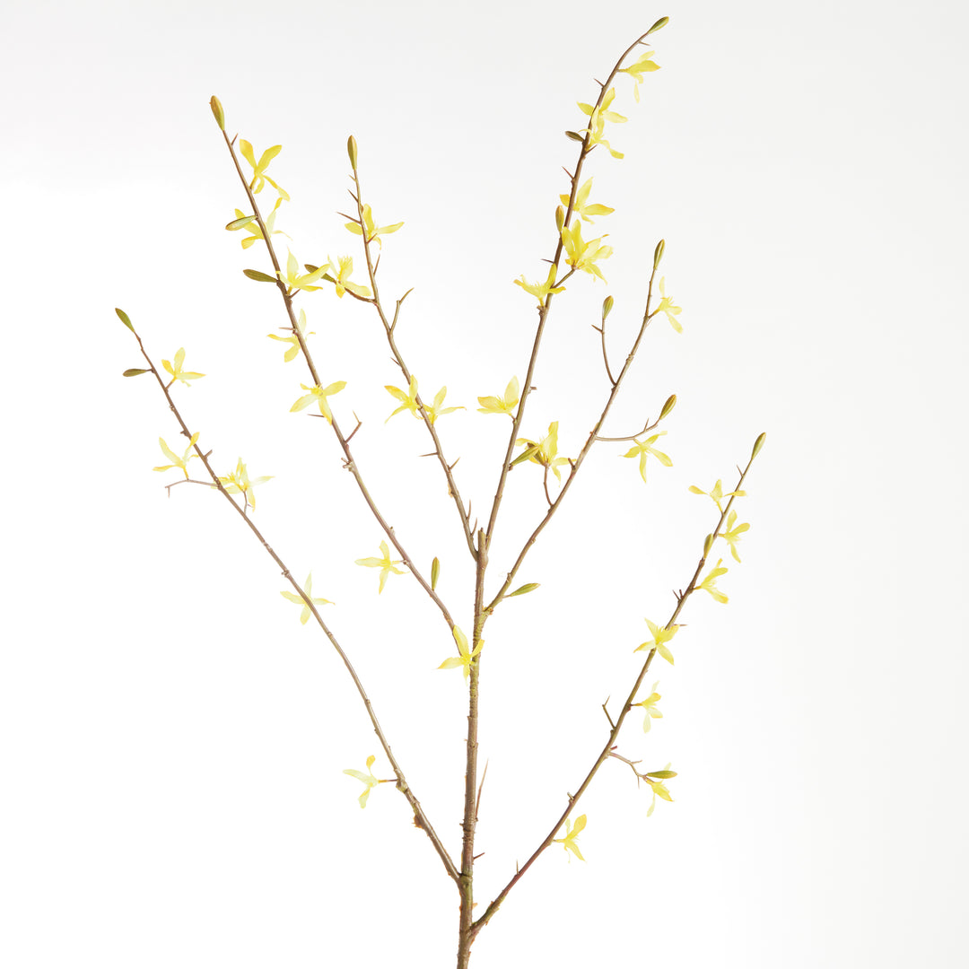 Forsythia Stems Faux Set
