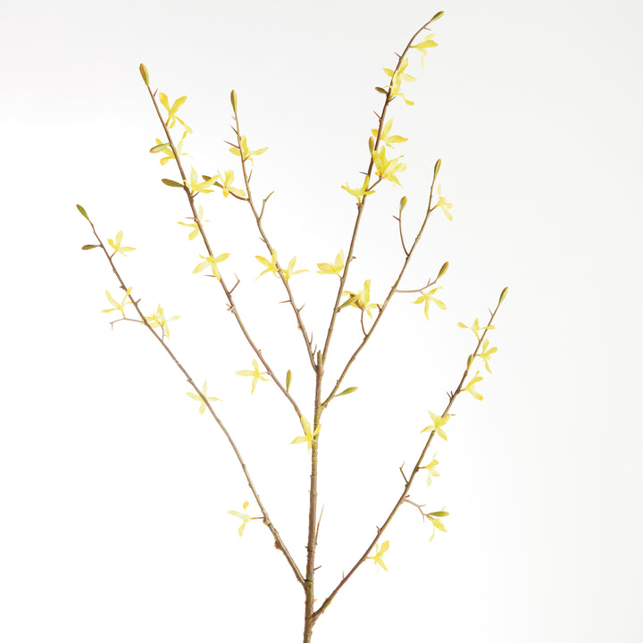Forsythia Stems Faux Set