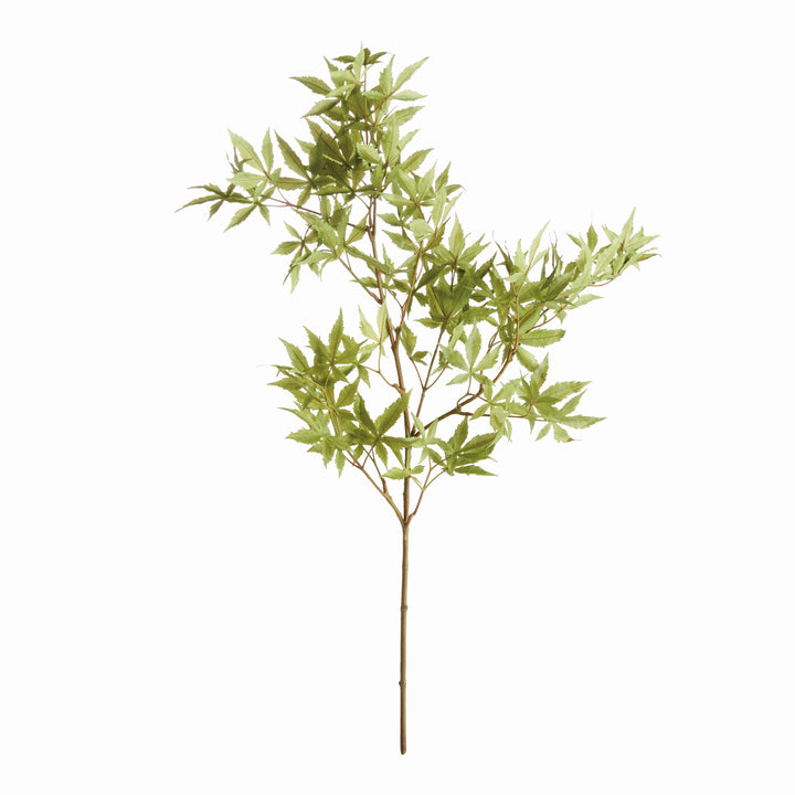 Maple Leaf Branches Set
