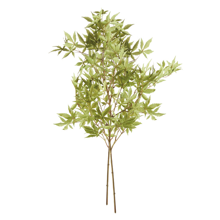 Maple Leaf Branches Set