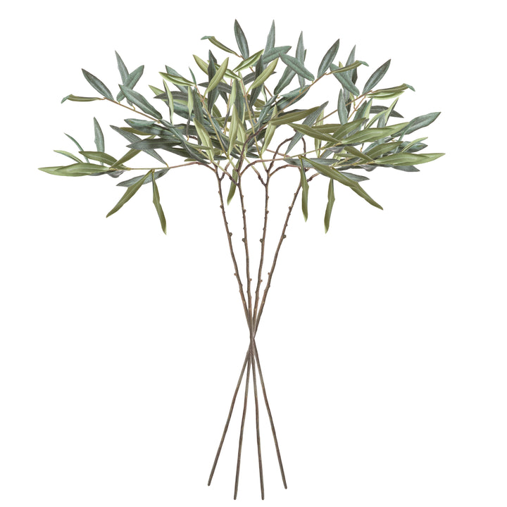 Olive Stems Set of 4