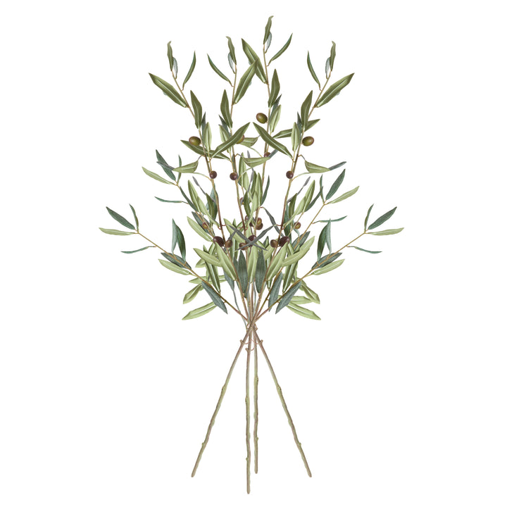 Olive Stems Set of 4