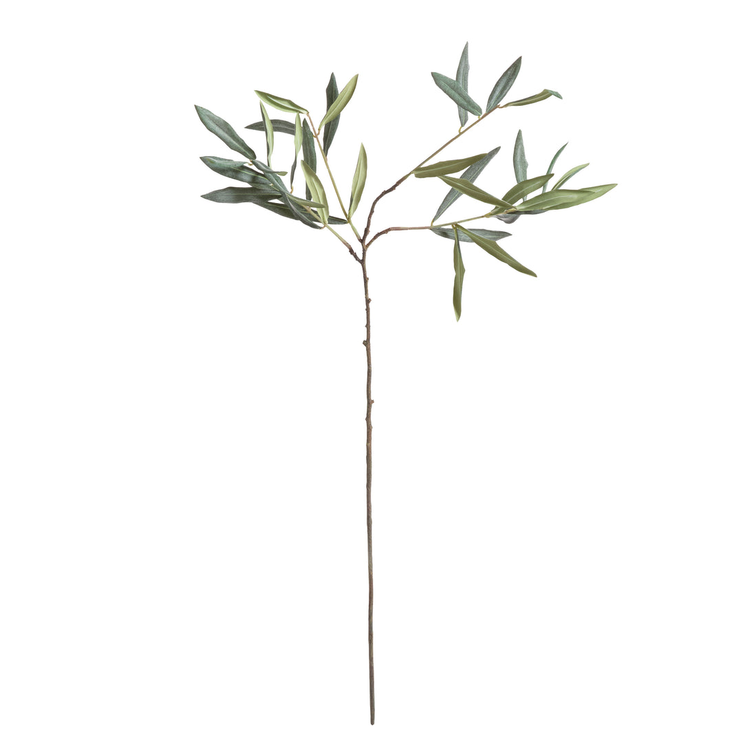 Olive Stems Set of 4