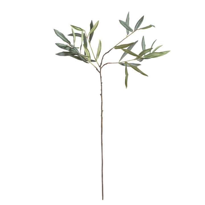 Olive Stems Set of 4
