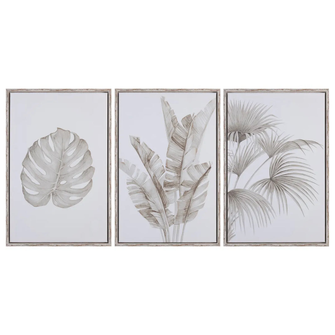 Palm Leaf Canvas Set - 3 Piece Set - Palm Tree Leaf - Bird of Paradise Leaf - Monstera Leaf - Wood frame - White & tan - Coastal Compass Home Decor