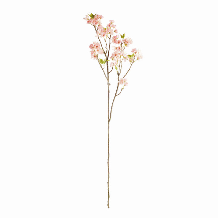 Pink Double Cherry Blossom Branches