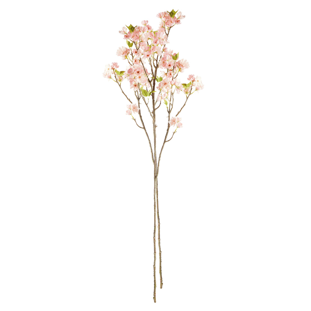 Pink Double Cherry Blossom Branches