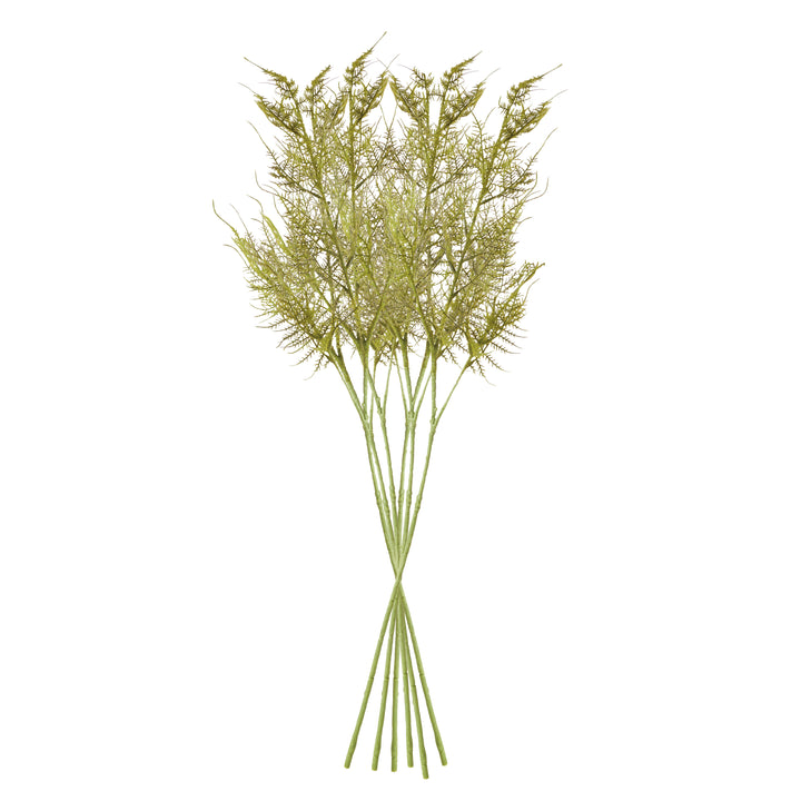 Plumosa Stems Set/6