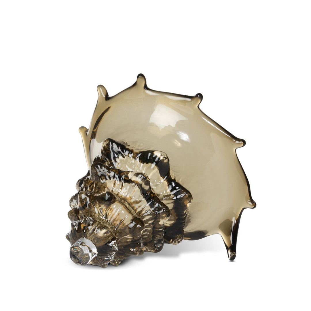 Sandy Lagoon Glass Seashell