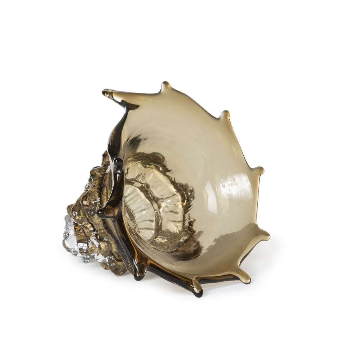 Sandy Lagoon Glass Seashell