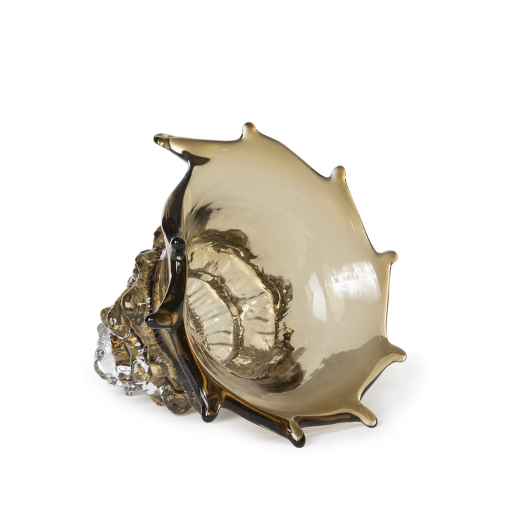 Sandy Lagoon Glass Seashell