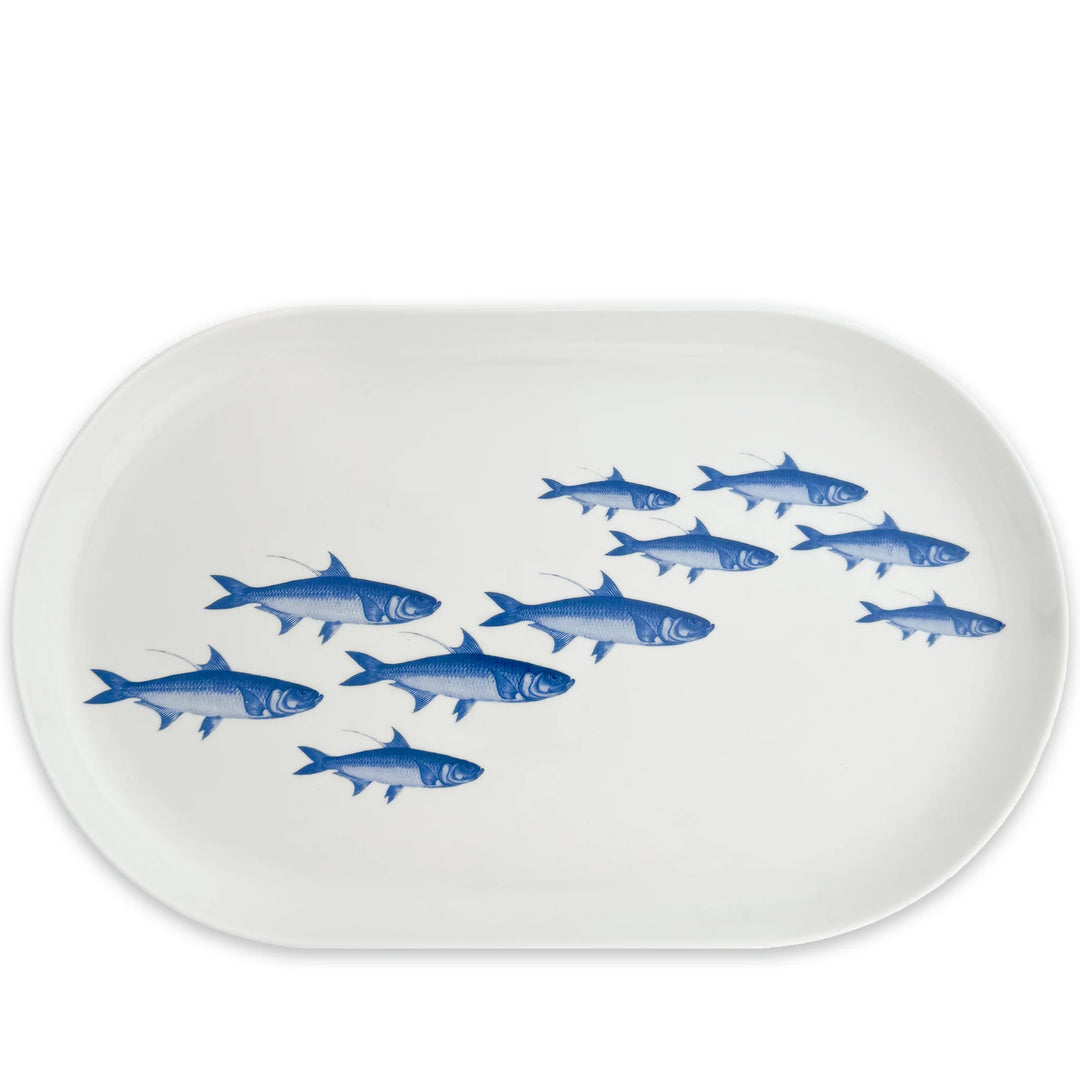 School of Fish Coupe Oval Platter - modern raised rim - Blue fish on white porcelain - Coastal Compass Home Decor