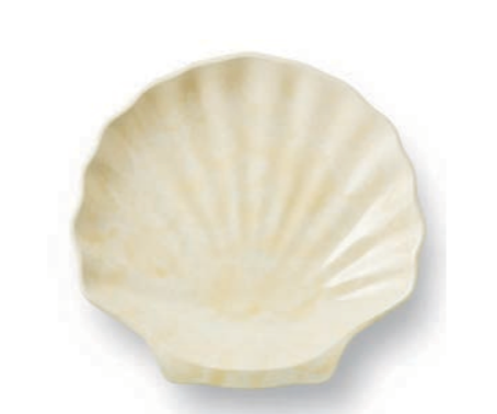 Coastal Landscape Serve-ware