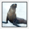 Seal Of Approval Canvas Art - Coastal Compass Home decor