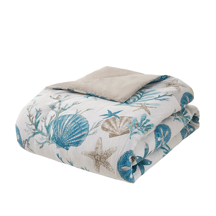 Tranquil Sea Comforter - Blue & Sand Seashells on Crisp White - Sand Color Reverse - Coastal Compass Home Decor