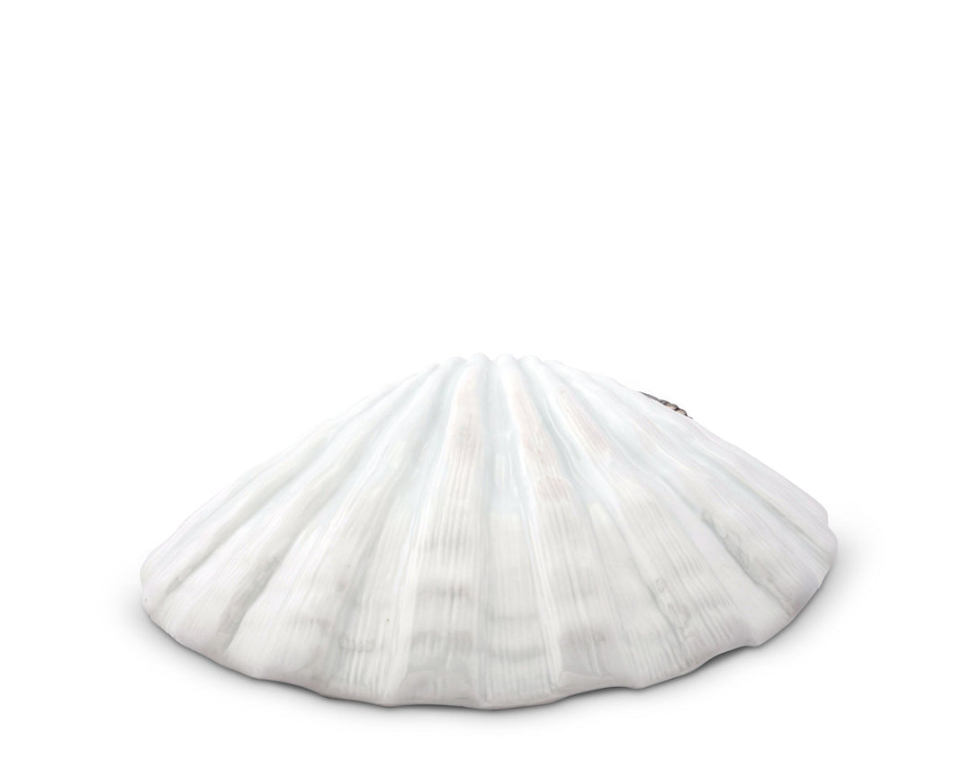 White shell plate on a white background