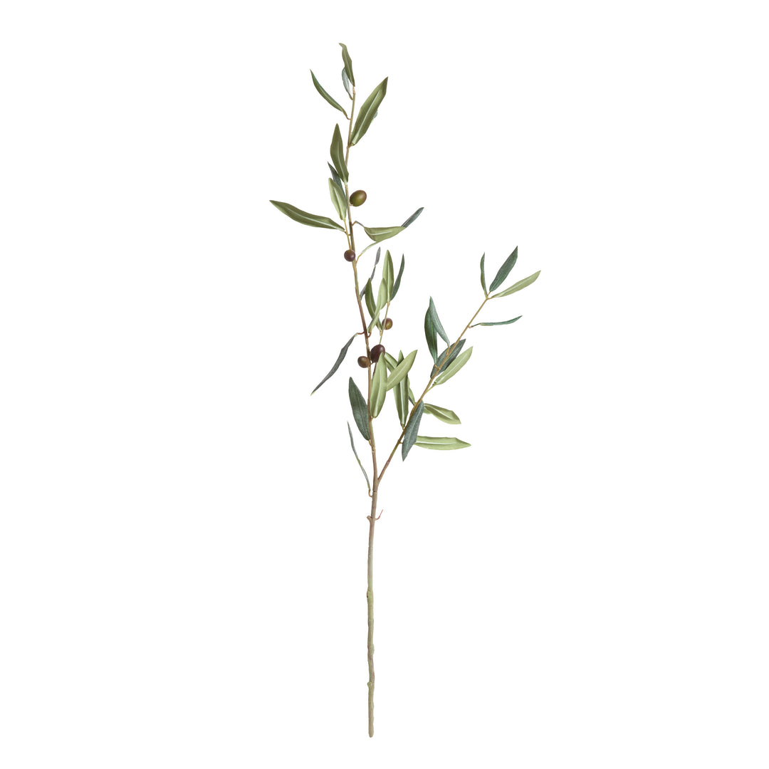 Olive Stems Set of 4