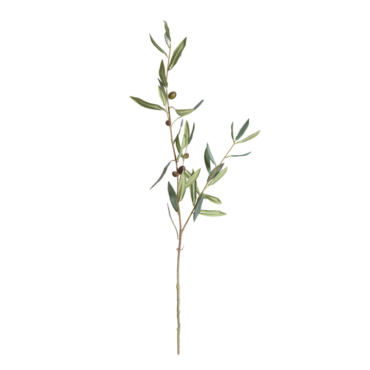 Olive Stems Set of 4