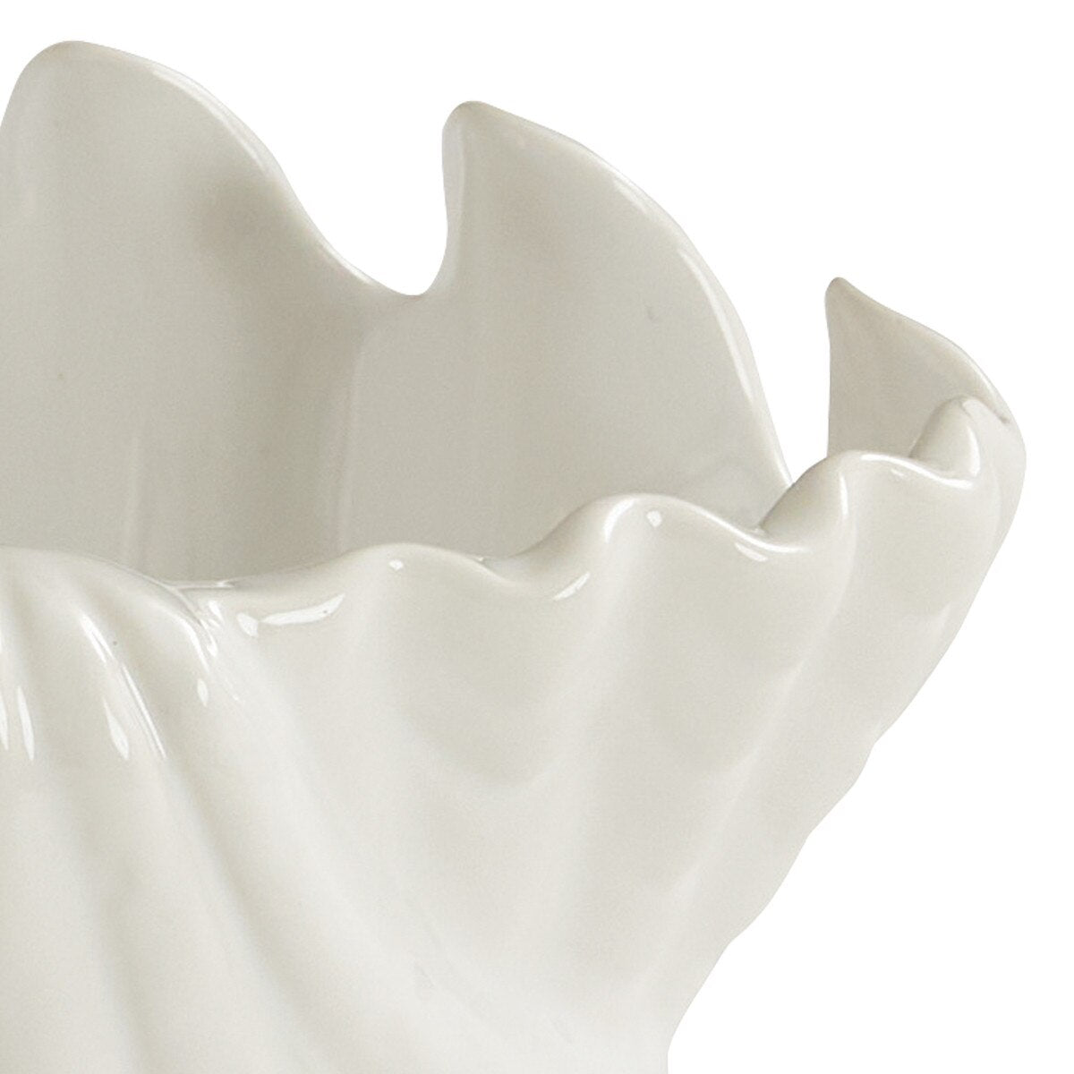 ウェッジウッド【Seashell】日本未入荷　セット　貝殻テーブルコーディネート seashell-dinnerware-coastal-