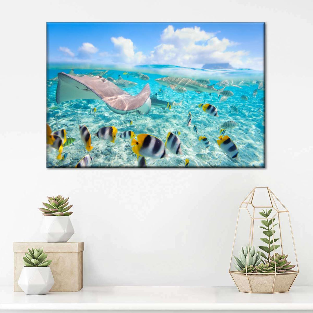 Bora Bora Sea Life Wall Art