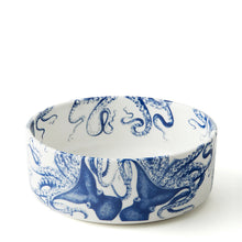  Blue Lucia Pet Bowl