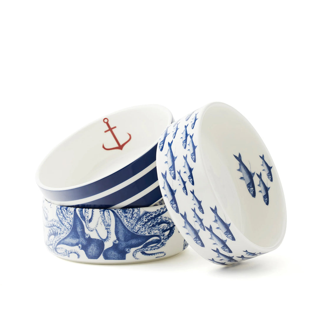 Coastal Porcelain Pet Bowls | Coastal Compass Home Decor