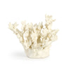 Faux Maldives Coral Accent Large • Coastal Compass Home Decor